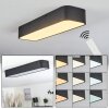 IRIONDO Ceiling Light LED black, 1-light source, Remote control