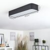 IRIONDO Ceiling Light LED black, 1-light source, Remote control