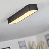 IRIONDO Ceiling Light LED black, 1-light source, Remote control