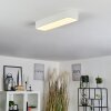 IRIONDO Ceiling Light LED white, 1-light source, Remote control