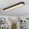 IRIONDO Ceiling Light LED black, 1-light source, Remote control