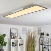 RINGUELET Ceiling Light LED white, 1-light source