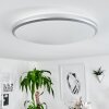MAGDALA Ceiling Light LED white, 1-light source