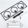 ASSINIBOIA Ceiling Light black, 3-light sources