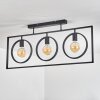 ASSINIBOIA Ceiling Light black, 3-light sources