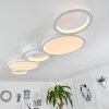 CARABAJAL Ceiling Light LED white, 1-light source
