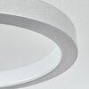 CARABAJAL Ceiling Light LED titanium, 1-light source