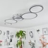 CARABAJAL Ceiling Light LED titanium, 1-light source