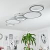 CARABAJAL Ceiling Light LED titanium, 1-light source