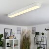 IRIONDO Ceiling Light LED white, 1-light source, Remote control