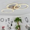 XENA Ceiling Light LED matt nickel, 1-light source, Remote control