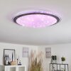 GORGONTA Ceiling Light LED white, 2-light sources, Remote control, Colour changer