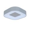 Outdoor Wall Light Feldsted LED silver, 1-light source