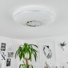 AUXERRE Ceiling Light LED white, 2-light sources, Remote control, Colour changer