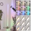 MINACAR Floor Lamp LED matt nickel, 1-light source, Remote control, Colour changer