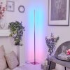 MINACAR Floor Lamp LED matt nickel, 1-light source, Remote control, Colour changer