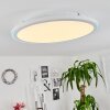 TELSEN Ceiling Light LED white, 2-light sources, Remote control, Colour changer