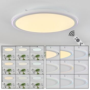 TELSEN Ceiling Light LED white, 2-light sources, Remote control, Colour changer