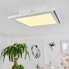 TELSEN Ceiling Light LED white, 2-light sources, Remote control, Colour changer
