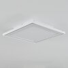 TELSEN Ceiling Light LED white, 2-light sources, Remote control, Colour changer