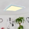 TELSEN Ceiling Light LED white, 2-light sources, Remote control, Colour changer