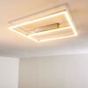 RAUMA ceiling light LED matt nickel, 1-light source