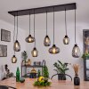 BARNEGAT Pendant Light black, 8-light sources