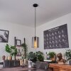 ROOSEVELT Pendant Light black, 1-light source