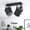 PUELCHES Ceiling Light black, 2-light sources