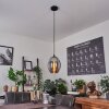 ROOSEVELT Pendant Light black, 1-light source