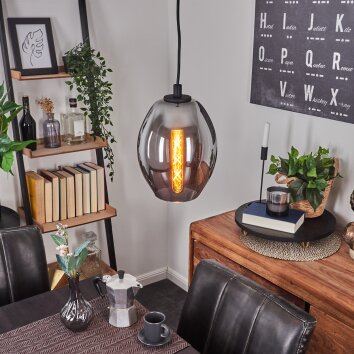 ROOSEVELT Pendant Light black, 1-light source