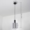 ROOSEVELT Pendant Light black, 1-light source