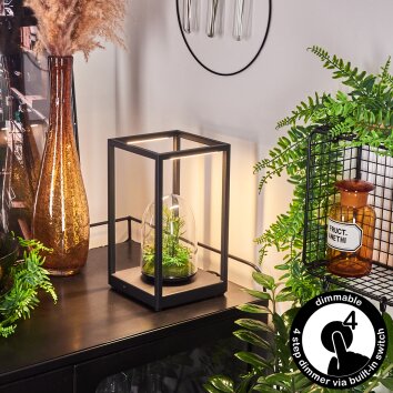 RANQUILE Table lamp LED black, 2-light sources