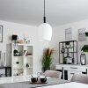 MAGNANO Pendant Light black, 1-light source