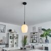 MAGNANO Pendant Light black, 1-light source