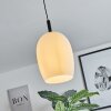 MAGNANO Pendant Light black, 1-light source