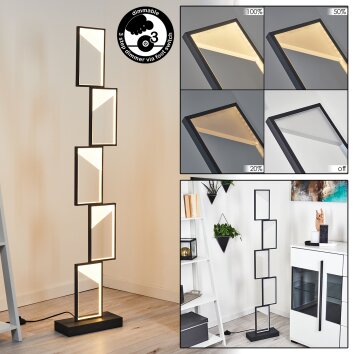 PITASCH Floor Lamp LED black, 1-light source