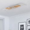 Elobra PANAMA Ceiling Light LED Ecru, 2-light sources