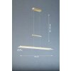 Fischer & Honsel ROOF Pendant Light LED brass, 1-light source