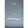 Fischer & Honsel ROOF Pendant Light brass, 1-light source