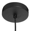 Steinhauer FLINTER Pendant Light black, 1-light source