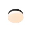 Steinhauer IKARO Ceiling Light LED black, 1-light source