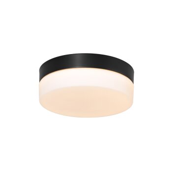 Steinhauer IKARO Ceiling Light LED black, 1-light source