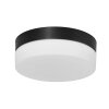 Steinhauer IKARO Ceiling Light LED black, 1-light source
