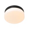 Steinhauer IKARO Ceiling Light LED black, 1-light source