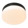 Steinhauer IKARO Ceiling Light LED black, 1-light source