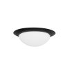 Steinhauer IKARO Ceiling Light LED black, 1-light source