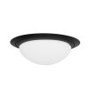 Steinhauer IKARO Ceiling Light LED black, 1-light source