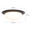 Steinhauer IKARO Ceiling Light LED black, 1-light source