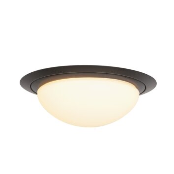 Steinhauer IKARO Ceiling Light LED black, 1-light source